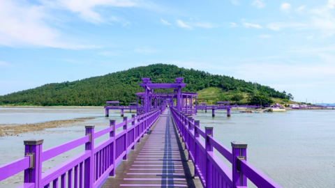 여기도 보라, 저기도 보라?