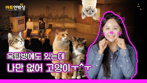 그 옥탑에 사람 둘, 고양이 둘이 살게 된 사연