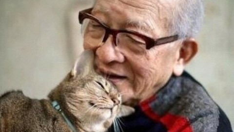 나 고양이, 뉴욕에 간다옹!